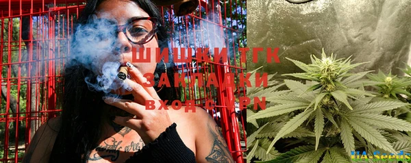индика Абдулино