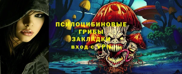 индика Абдулино