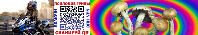 ОМГ ОМГ зеркало Нахабино Псилоцибиновые грибы Psilocybine cubensis